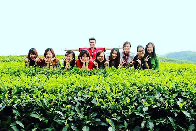 Đồi chè ở huyện Thanh Chương những năm vừa qua cũng là nơi mà các cặp đôi lưu giữ kỷ niệm qua từng thước ảnh đẹp lung linh. Chính trong khoảnh khắc ấy, bạn sẽ cảm nhận được tình yêu xanh mượt. Ảnh: Facebook Zullin.