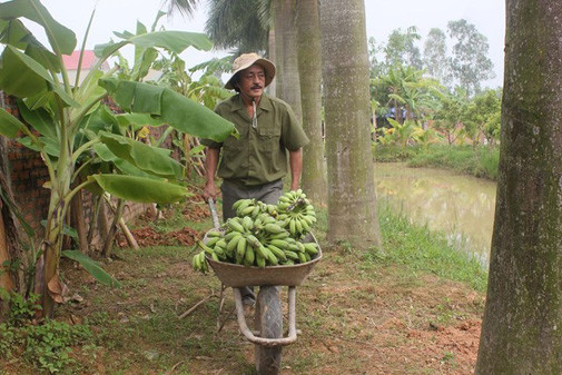 Tại đây, nam nghệ sĩ trồng rau, nuôi gà, thả chim như một người nông dân thực thụ.