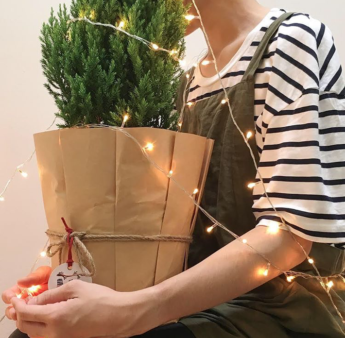 Thời gian đến lễ Noel chỉ còn được tính bằng ngày, lượn qua những trang mạng xã hội như Facebook hay Instagram, năm nay lại thấy giới trẻ thi nhau post ảnh với những chậu cây lạ mắt nhưng cũng vô cùng xinh xắn khiến nhiều tự hỏi đây là cây gì? liệu nó có phải là "hot trend" của mùa Giáng Sinh năm nay? và nó được mua ở đâu?