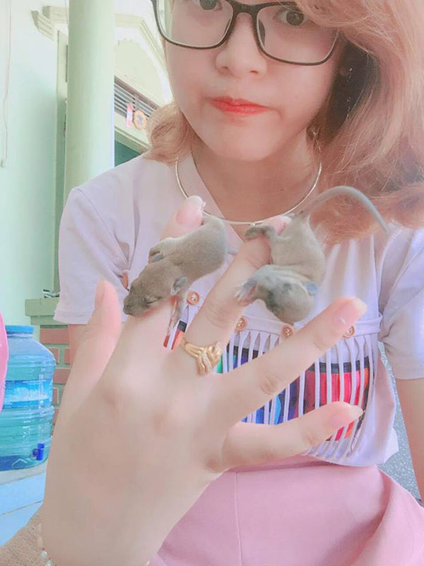 Như đã biết, chuột đồng vốn là động vật thường xuyên gây hại cho loài người. Chúng thường xuyên phá hoại mùa màng và những vật dụng trong gia đình. Nhưng với cô bạn Nguyễn Thị Hoài Thu sinh năm 1995, hiện đang sinh sống và làm việc tại Nghệ An lại không cho rằng như vậy và cô bạn quyết định nuôi dưỡng chú chuột và coi chúng như bạn.