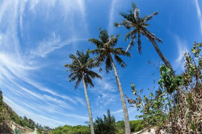 Ở đảo An Bình có vách đá trầm tích núi lửa tạo dáng hình kỳ thú, trông giống biểu tượng rồng vươn mình về phía biển và đây cũng được coi là một biểu tượng của xã đảo nhỏ thuộc huyện đảo Lý Sơn.