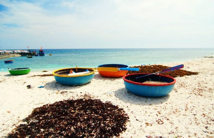 Đến đảo An Bình, bạn sẽ tìm thấy một thế giới mới lạ lẫm và mải mê lang thang khắp nơi, thích thú ngắm nhìn cảnh vật. Buổi sớm, khi mặt trời nhả ra những tia nắng ấm áp nhẹ nhàng, cả không gian trở nên thơ mộng biết bao với những mái nhà nhỏ nhấp nhô, những ruộng tỏi, ruộng hành bậc thang trải dài và bầu trời thì được phủ lên một màu xanh êm dịu, những đám mây bồng bềnh tựa như kẹo bông gòn xốp mịn.