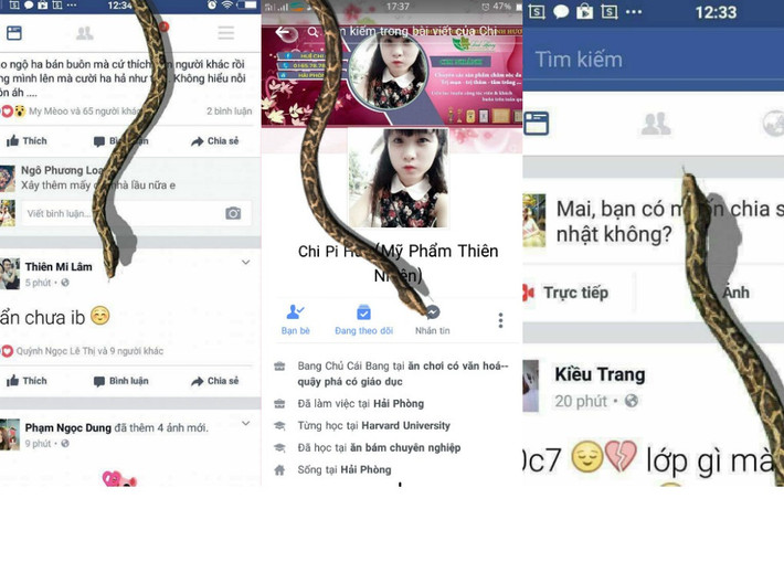 Cũng chính bởi comment như hướng dẫn mà không thấy con rắn xuất hiện trên Facebook, rất dân mạng đã nghĩ rằng mình đã bị "troll" đẹp mắt và đã rất nhiều người không giữ được bình tĩnh vì màn chơi "đểu"này.