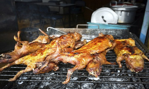 Nếu tới Peru mà chưa từng thử món ăn này thì thật là thiếu sót. Mặc dù chuột lang thường được biết tới như là một loại thú cưng đáng yêu tại phương Tây, thì tại Peru chúng là nguồn thực phẩm chủ yếu trong chế độ ăn của người Andean trong suốt hơn 5000 năm (thậm chí nó còn có dịp quốc lễ vào ngày thứ sáu thứ 2 của tháng 10).