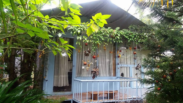 Với dịp Tết dương lịch được nghỉ dài ngày, giới trẻ Bắc - Nam đã chọn cho mình những ngày nghỉ dưỡng lý thú cùng gia đình và bạn bè tại những homestay, đặc biệt là ở Đà Lạt.