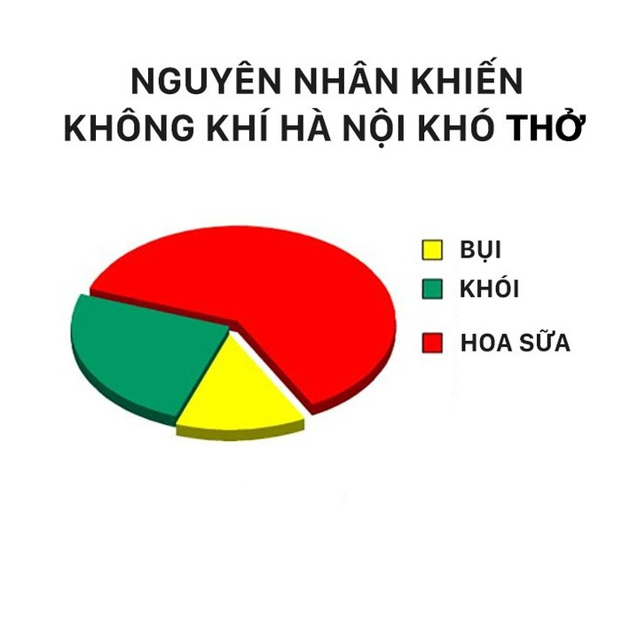 Theo khuyến cáo, những người bị các bệnh lý về đường hô hấp như hen suyễn, viêm xoang không nên tiếp xúc với hoa sữa, bởi hương của loài hoa này sẽ làm bệnh trở nên nặng hơn và khó chữa.