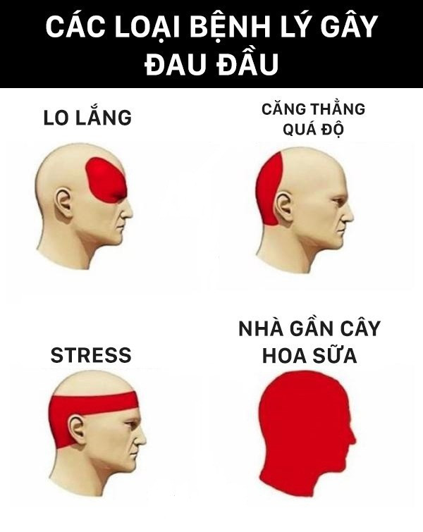 Nhiều nghiên cứu chỉ ra rằng, việc hít ngửi hương thơm đậm đặc phát tán trong không khí lâu dễ dẫn đến làm giảm lượng oxy, gây dị ứng, đau đầu với những người có cơ địa dị ứng.