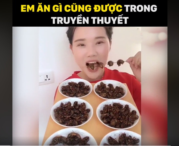 Theo nhiều dân mạng, thông thường, phái yếu thường hay sợ hãi trước loài bò sát, thậm chí có thể sợ đến phát ngất. Tuy nhiên với cô gái Trung Quốc trên thì côn trùng cũng chỉ là 1 loại thức ăn.