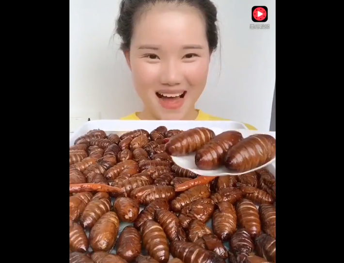 Đã từng có thời ở Việt Nam, việc ăn côn trùng như dế, trâu trấu, bọ cạp hay bọ xít trở thành những món đặc sản và chỉ có giới có tiền mới đủ khả năng thưởng thức.