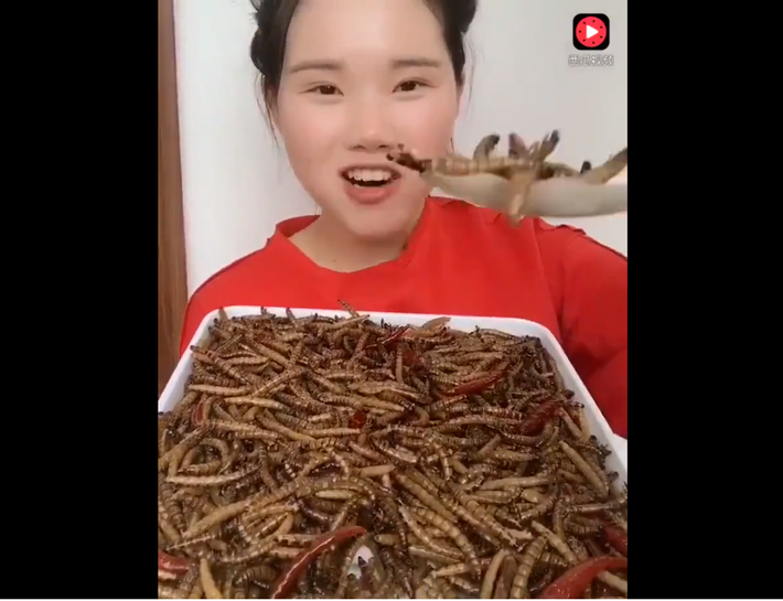 Không chỉ ăn nhâm nhi bằng tay, "thánh côn trùng" Trung Quốc thậm chí còn dùng muỗng múc canh xúc từng muỗng lớn để ăn được nhiều hơn.