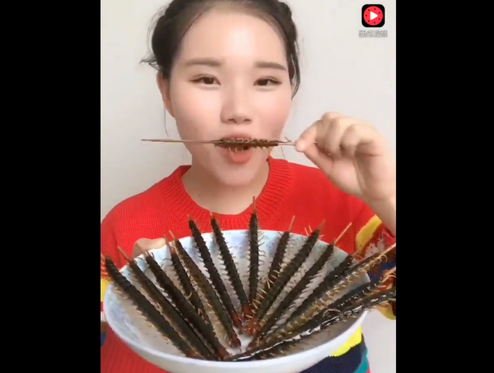 Theo những gì diễn ra trong clip chưa đầy 3 phút được đăng tải trên mạng xã hội, một cô gái đến từ Trung Quốc đã ăn ăn tới 8 loại côn trùng khác nhau, bao gồm bọ cạp, ve sầu, giun, bọ cánh cứng.