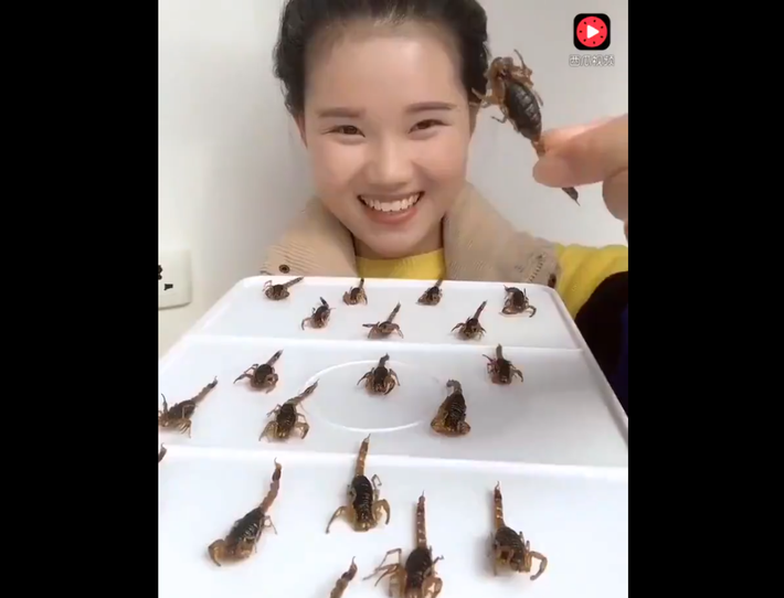 Bọ cạp nướng nguyên con được xếp ra khay và được thánh nữ côn trùng thưởng thức nhìn rất ngon miệng.