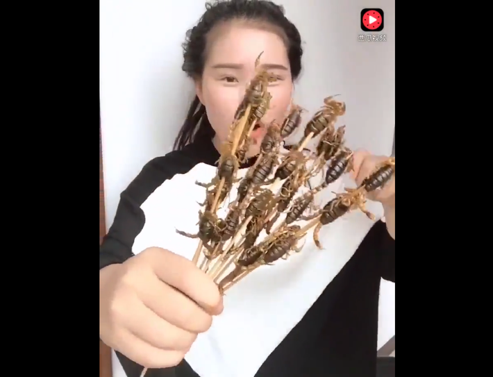Món bọ cạp xiên que được cô gái "thánh ăn côn trùng" Trung Quốc thưởng thức ngon lành. Ảnh sử dụng trong bài: cắt clip.