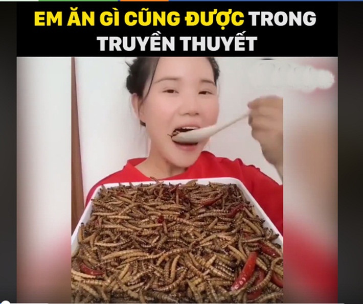 Trái với ánh mắt nhìn ngán ngẩm của người xem, "thánh ăn côn trùng" vẫn say mê thưởng thức món ăn khoái khẩu của mình và nhắm thêm chút ớt tươi cho món ăn thêm đặc sắc.