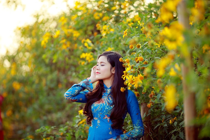 Có những khoảng trồng hoa dã quỳ vàng óng trong ánh nắng chiều.