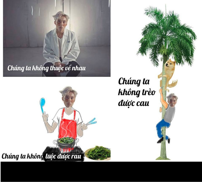 "Chúng ta không thuộc về nhau" của Sơn Tùng là bài hát bị nhiều người cho rằng đã đạo nhạc của ca khúc đình đám We don't talk anymore" của Charlie Puth. Cũng từ đây dân mạng đã rộ lên trào lưu chế ảnh liên bản đến quan đến tiêu đề bài hát này.Ngoài ra, "Chúng ta không thuộc về nhau" cũng trở thành câu "cửa miệng" của dân mạng, xuất hiện với tần suất dày đặc trên mạng xã hội ám chỉ sự không đến được với nhau của các cặp đôi.