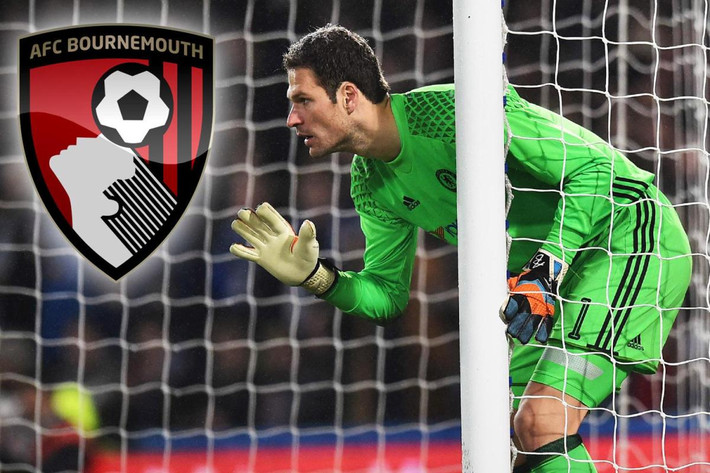 Bournemouth sắp có Begovic: Giới truyền thông Anh đưa tin, Bournemouth đã tiến rất gần tới khả năng chiêu mộ thành công thủ môn Asmir Begovic từ Chelsea với mức phí chuyển nhượng 15 triệu bảng. Thủ thành 28 tuổi còn thống nhất nốt các điều khoản cá nhân và kiểm tra y tế trước khi đặt bút gia nhập đội chủ sân Dean Court vào cuối tuần này. Ảnh: Goal