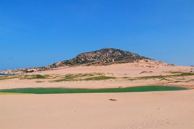 Đến với "Dubai phiên bản Việt" Sơn Hải, bạn sẽ được khám phá những đồi cát rộng lớn bao la, chạy dài tít tắp. Bên cạnh đó còn là những vũng nước lúc thì xanh nhạt, xanh lá được ví như ốc đảo giữa sa mạc.
