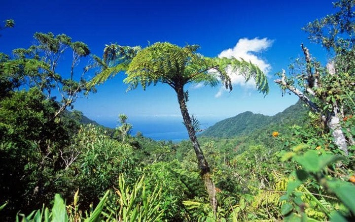 Comoros – châu Phi (15.000): Đây là một quần đảo gần Madagascar và bờ biển Mozambique, nơi có những ngọn núi lửa hùng vĩ, những rạn san hô ngầm ít được khám phá nhất thế giới và cả những linh hồn lẩn khuất trong rừng.