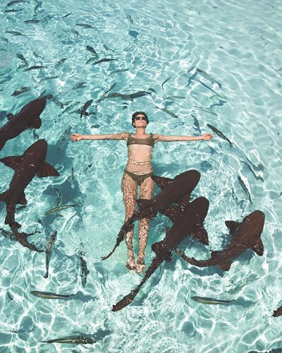 Quần đảo Bahamas là một trong những địa điểm Sorelle yêu thích nhất, nơi cô trải nghiệm cảm giác bơi cùng rùa biển và cá mập. Hơn nữa, cô gái có cơ hội dạo chơi trên bãi tắm, lặn ngắm hang động nơi từng quay James Bond.