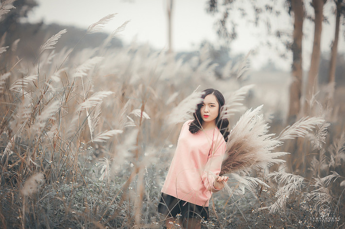 Vào những ngày cuối tháng 10, đầu tháng 11, giữa bãi bồi sông Lam có một rừng lau tự nhiên trổ cờ trắng xóa. Đây cũng là địa điểm được nhiều nhiếp ảnh gia cũng như các bạn trẻ tại Nghệ An cũng như nhiều tỉnh thành lân cận chọn làm địa điểm để cho ra đời những bức ảnh sống ảo cực chất. Ảnh trong bài: Sa Mạc Hoang.