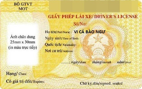 Họ đã lạ và cái tên còn lạ hơn khiến dân mạng phải ôm bụng cười ngặt nghẽo.