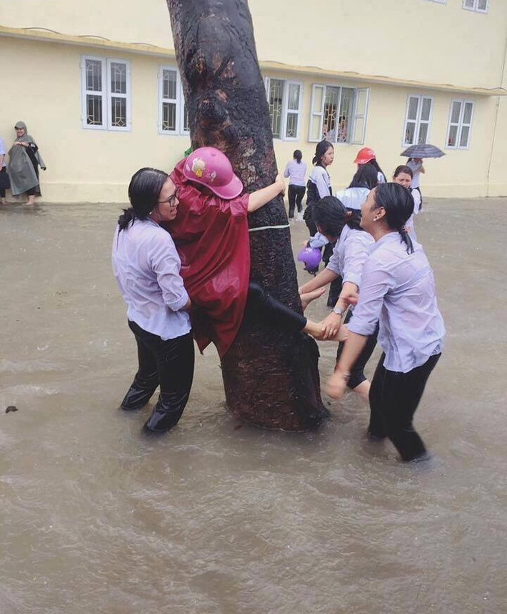 Theo tìm hiểu của các dân mạng, loạt ảnh học sinh tắm mưa được đăng tải mới đây được ghi lại tại trường Hoa Lư A - Ninh Bình.