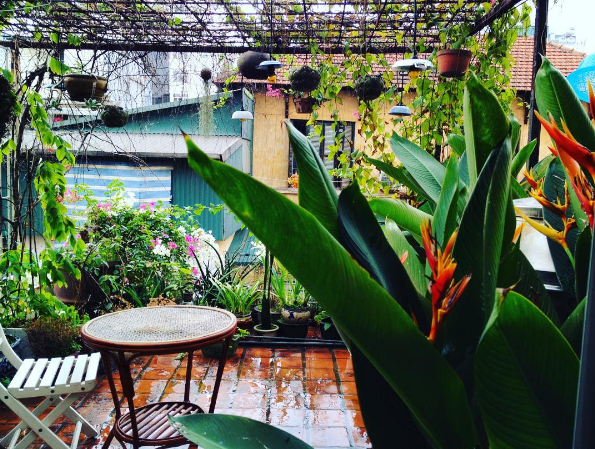 Góc sân gạch con con trên gác mái tràn ngập cây xanh của Le Bleu Art decor loft (Nhà Trong Xóm) khiến không gian của căn homestay này càng trở nên tĩnh lặng và thi vị.
