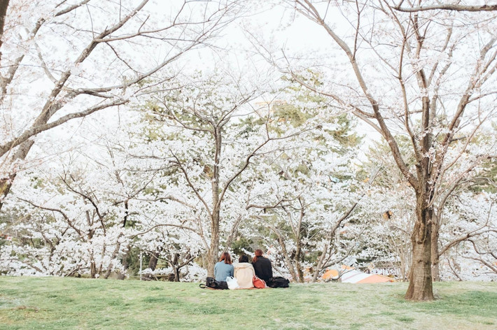 Ảnh: FB Lạc