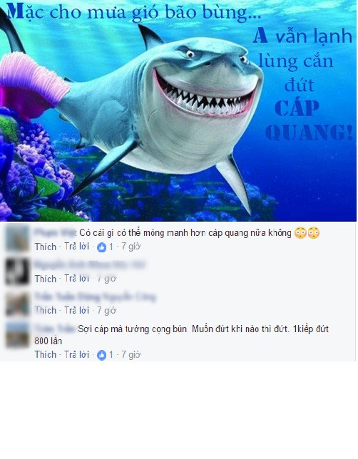 Sau khi nghe tin tuyến cáp quang APG ở phân đoạn Việt Nam - Hồng Kông đã gặp vấn đề, còn chưa rõ nguyên nhân cụ thể, dân mạng đã “than trời” và có không ít những bình luận vô cùng bá đạo và hài hước về sự cố đứt cáp quang lần này.