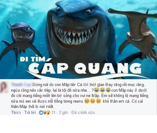 Câu chuyện minh oan cho con cá mập trong vụ cáp quang internet tại Việt Nam bị đứt.