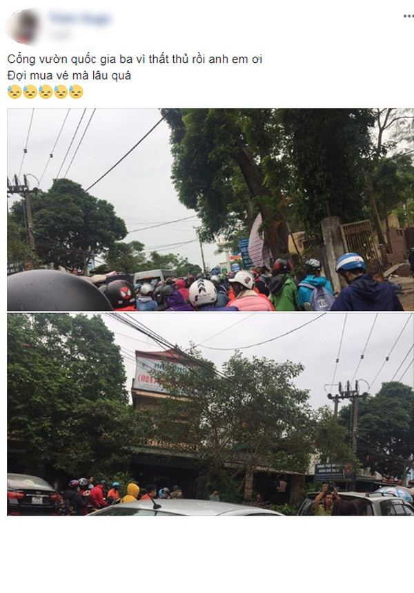 Lý giải cho những bức ảnh đông đúc này, nhiều dân phượt cho rằng, thời điểm này đang vào mùa hoa dã quỳ Ba Vì bắt đầu nở, thu hút đông đảo các bạn trẻ gần xa đến ngắm hoa, đi chơi, chụp ảnh.