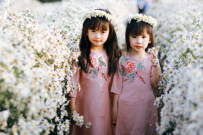 Cùng ngắm nhìn những hình ảnh đẹp nhất của Hà Nội đẹp nhất mùa cúc hoa mi. Ảnh sử dụng trong bài: Sưu tầm Instagram.