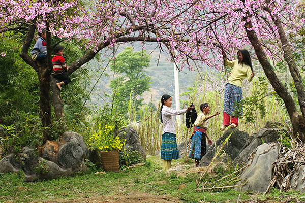 Đầu tiên, hãy nhìn vào vấn đề truyền thống, Tết Nguyên Đán hay còn gọi là dịp Tết âm lịch là một ngày lễ cực quan trọng với người Á Đông nói chung và người Việt Nam nói riêng. Ngày Tết là thời điểm các thành viên trong gia đình đoàn tụ, sum họp, quây quần bên nhau. Người đi xa mong về quê, người ở nhà mong ngóng người ở xa, mang ý nghĩa gắn kết tình cảm thiêng liêng trong mỗi gia đình.