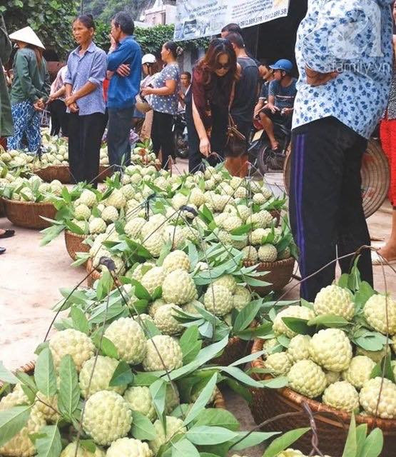 Hàng nghìn người nông dân mang na được thu hoạch tập trung về chợ Đồng Bành, tạo nên một khu chợ na kéo dài hơn 1km bên Quốc lộ 1A. Ảnh: SVietnam.