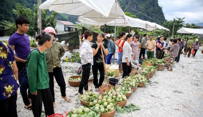 Cứ vào đầu tháng 8 hàng năm là chợ na Đồng Bành (Chi Lăng, Lạng Sơn) lại tấp nập, nhộn nhịp. Ảnh: Tổ quốc.