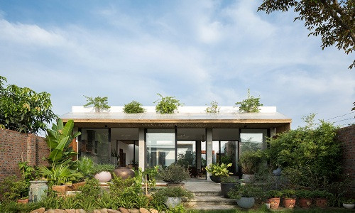 Tọa lạc tại xã Đồng Trúc (Thạch Thất, Hà Nội), ngôi nhà cấp 4 mang tên Dế House gây ấn tượng bởi thiết kế khoảng mở, thân thiện với môi trường.
