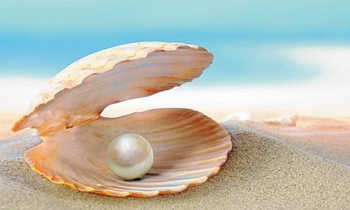 Những câu chuyện thú vị về nghề lặn biển tìm ngọc trai ở Bahrain đang là chủ đề được các nhà làm phim thế giới khai thác. Ảnh: Timeout.