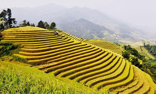 Tour Hà Nội - Điện Biên, Hà Nội - Mù Cang Chải 3 ngày 2 đêm dịp 2/9 có giá dao động từ 2,3 - 2,7 triệu đồng. Một số đơn vị lữ hàng còn giảm giá 10% để thu hút lượng khách. Ảnh: VietSense Travel.