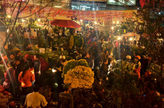 Chợ hoa Quảng Bá thường họp từ 23h đến rạng sáng. Hoa ở chợ chủ yếu được chuyển về từ khắp các vùng lân cận thủ đô như Đông Anh, Tây Tựu, Gia Lâm. Ảnh: Vivuahanoi.