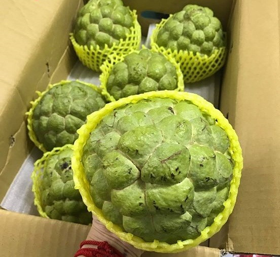 Trong khi na dai trong nước được bày bán tràn lan tại các chợ với giá từ 30.000 - 70.000 đồng/kg thì na bở Đài Loan có giá lên tới 350.000 - 500.000 đồng/kg. Mặc dù vậy, loại quả này vẫn rất hút người tiêu dùng Việt. Ảnh: Hoaquauudam.