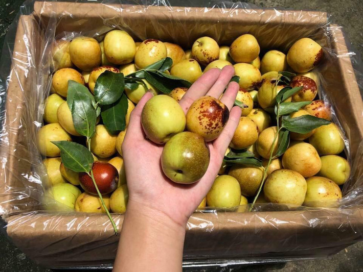 So với mọi năm, giá táo tàu Trung Quốc không có nhiều thay đổi, dao động từ 55.000 - 140.000 đồng/kg, tùy thuộc vào kích cỡ của táo. Ảnh: FB Huyền Thanh Phạm.
