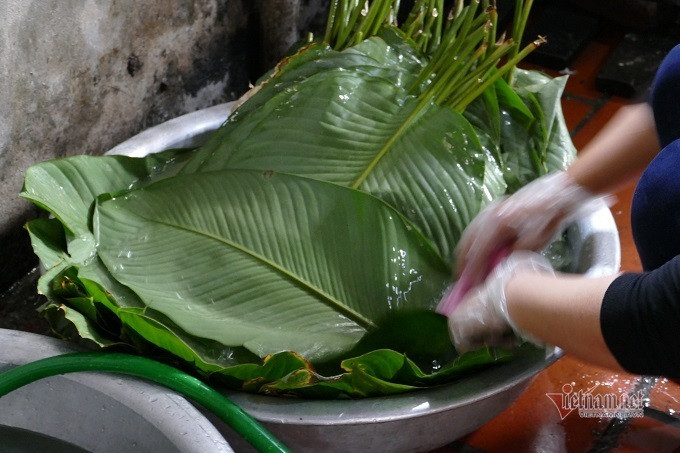 Trước khi gói, lá dong được rửa sạch.