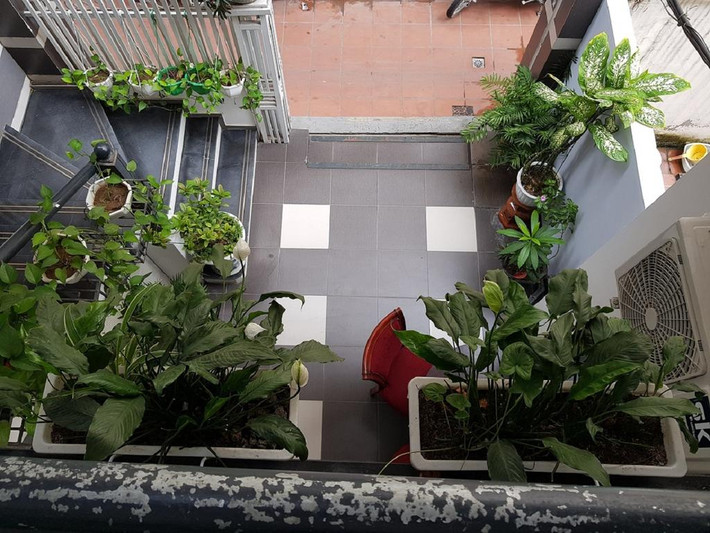 Yếu tố thiên nhiên ngày càng được chú trọng, đề cao trong thiết kế nội thất. Do đó, xu hướng vườn trong nhà sẽ trở nên thịnh hành hơn trong năm tới.