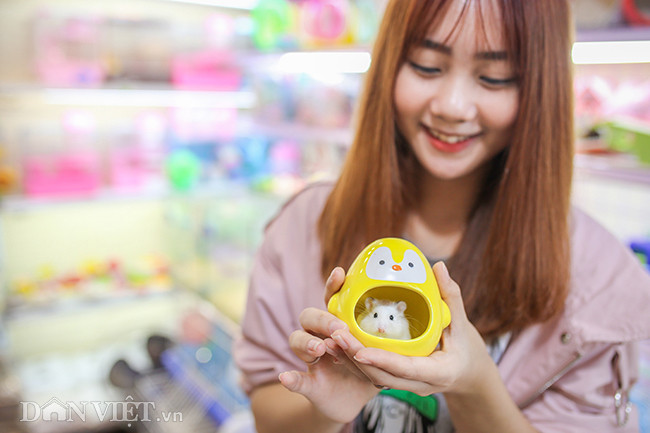 Giá của những món phụ kiện thường chỉ từ 30.000 đến 150.000 đồng, tùy theo nhu cầu của người mua. Ảnh: Dân Việt.