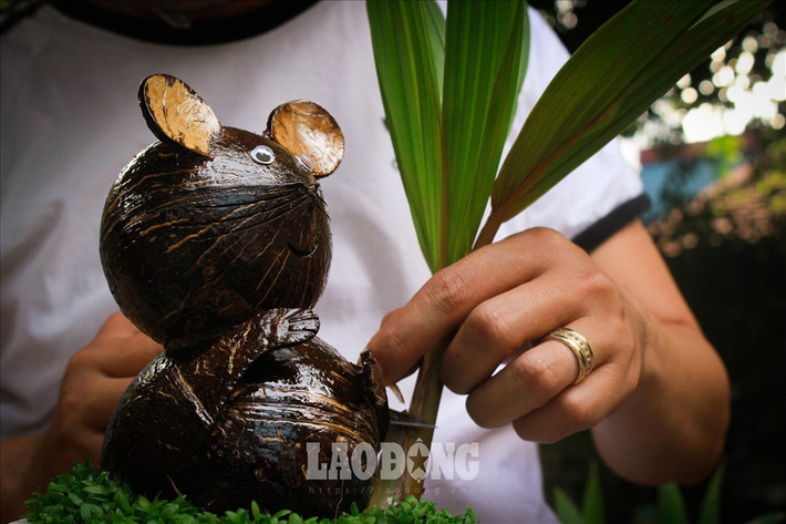 Trong mỗi chậu dừa bonsai còn có cỏ may mắn để mang tới tài lộc cho người chơi. Ảnh: Lao động.