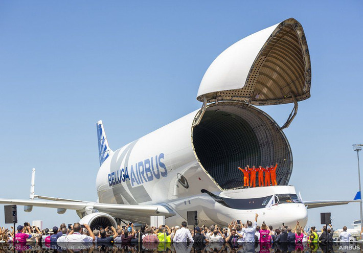 Thiết kế mang hình dáng cá voi mỉm cười được hãng Airbus lựa chọn sau cuộc khảo sát của 20.000 nhân viên. Ảnh: Egypttoday.