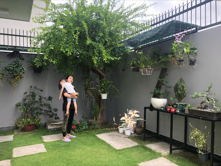 Góc vườn nhỏ với nhiều cây xanh.