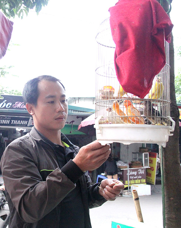 Tương tự, chợ chim Yên Phúc (phường Phúc La, quận Hà Đông) cũng trở thành điểm đến yêu thích của người buôn bán và chơi chim khắp Hà Nội. Ảnh: Kinhtedothi.