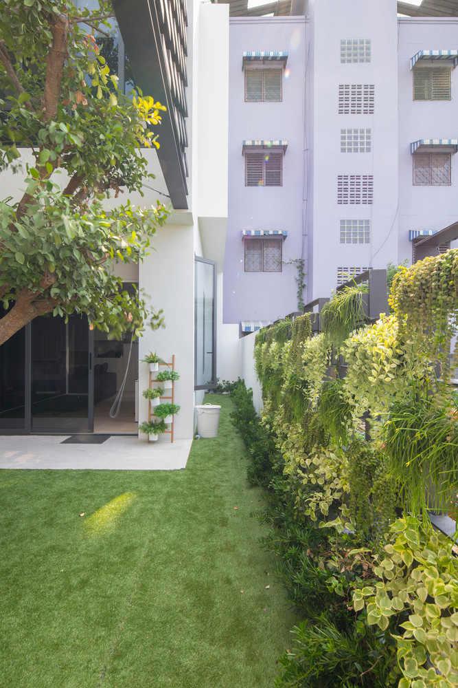 Bức tường xanh hấp thụ nhiệt giúp ngôi nhà phố luôn mát mẻ. Nguồn ảnh: Archdaily.